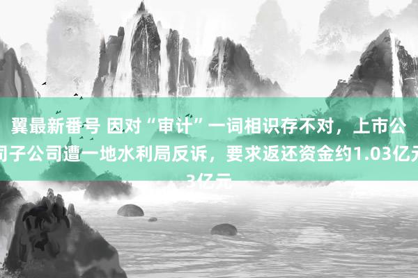 翼最新番号 因对“审计”一词相识存不对，上市公司子公司遭一地水利局反诉，要求返还资金约1.03亿元