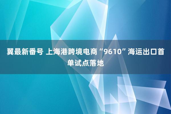 翼最新番号 上海港跨境电商“9610”海运出口首单试点落地