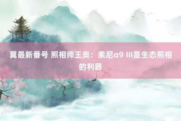 翼最新番号 照相师王奥：索尼α9 III是生态照相的利器