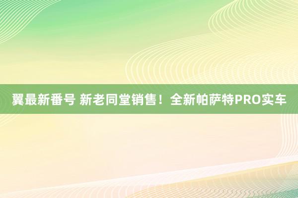 翼最新番号 新老同堂销售！全新帕萨特PRO实车