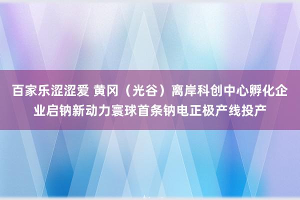 百家乐涩涩爱 黄冈（光谷）离岸科创中心孵化企业启钠新动力寰球首条钠电正极产线投产