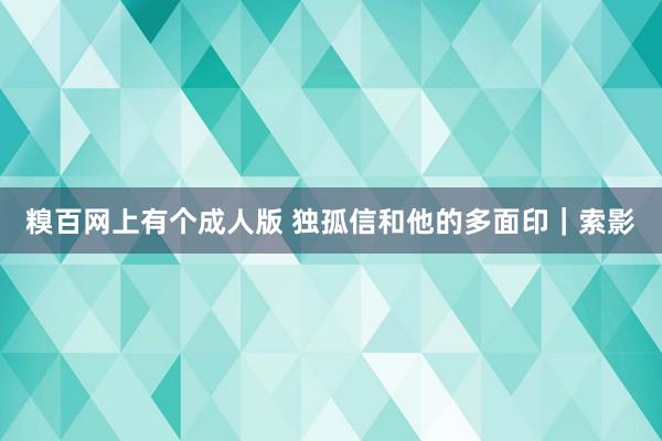 糗百网上有个成人版 独孤信和他的多面印｜索影