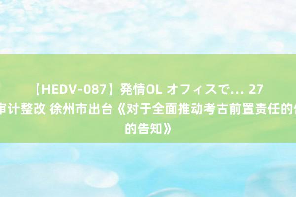 【HEDV-087】発情OL オフィスで… 27 落实审计整改 徐州市出台《对于全面推动考古前置责任的告知》