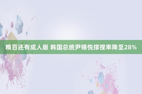 糗百还有成人版 韩国总统尹锡悦撑捏率降至28%