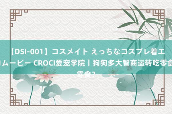 【DSI-001】コスメイト えっちなコスプレ着エロムービー CROCI爱宠学院丨狗狗多大智商运转吃零食？