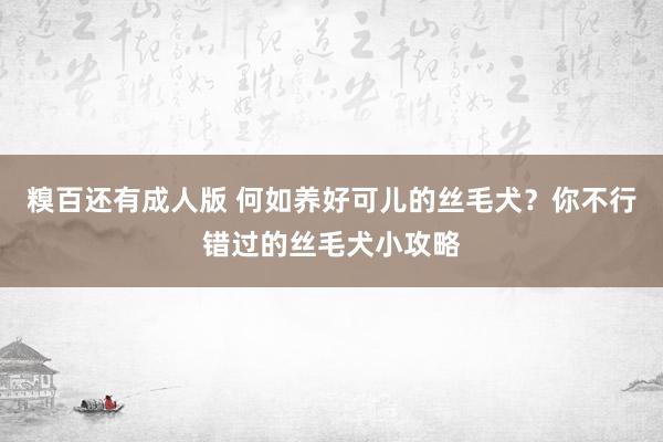 糗百还有成人版 何如养好可儿的丝毛犬？你不行错过的丝毛犬小攻略