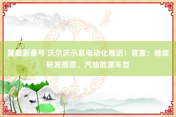 翼最新番号 沃尔沃示意电动化推迟！官宣：继续研发插混、汽油能源车型