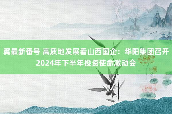 翼最新番号 高质地发展看山西国企：华阳集团召开2024年下半年投资使命激动会