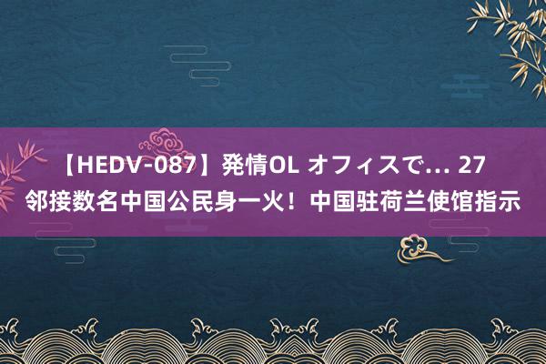 【HEDV-087】発情OL オフィスで… 27 邻接数名中国公民身一火！中国驻荷兰使馆指示