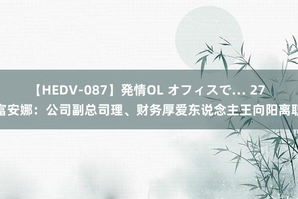 【HEDV-087】発情OL オフィスで… 27 富安娜：公司副总司理、财务厚爱东说念主王向阳离职