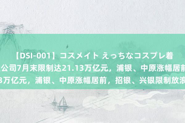 【DSI-001】コスメイト えっちなコスプレ着エロムービー 13家搭理公司7月末限制达21.13万亿元，浦银、中原涨幅居前，招银、兴银限制放浪