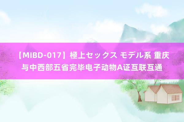 【MIBD-017】極上セックス モデル系 重庆与中西部五省完毕电子动物A证互联互通