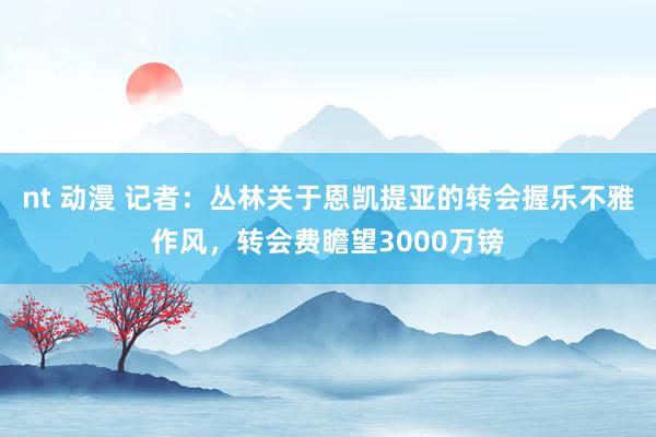 nt 动漫 记者：丛林关于恩凯提亚的转会握乐不雅作风，转会费瞻望3000万镑