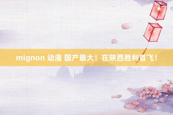 mignon 动漫 国产最大！在陕西胜利首飞！