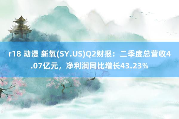 r18 动漫 新氧(SY.US)Q2财报：二季度总营收4.07亿元，净利润同比增长43.23%