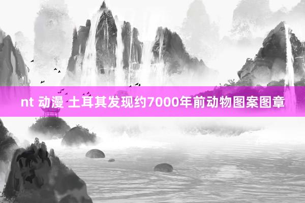 nt 动漫 土耳其发现约7000年前动物图案图章